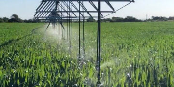 Ambiente entregó $15 millones para mejorar la gestión de residuos en granja porcina