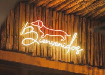 Un bar ya ofrece un menú «pet friendly» especial para las mascotas