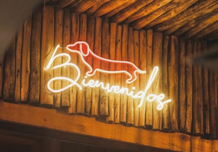 Un bar ya ofrece un menú "pet friendly" especial para las mascotas