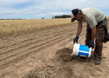 El Gobierno prorrogó la emergencia y/o desastre agropecuario