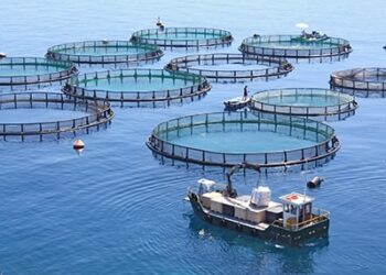 Un acuerdo con el Conicet impulsará la investigación para el desarrollo de la acuicultura