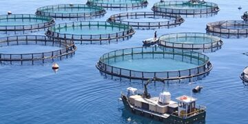 Un acuerdo con el Conicet impulsará la investigación para el desarrollo de la acuicultura