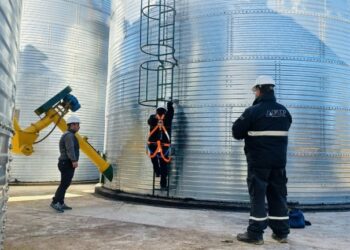 La AFIP incautó soja y maíz por 27 millones de pesos en Córdoba