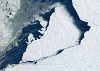 Se desprendió en la Antártida un hielo del tamaño de Argentina