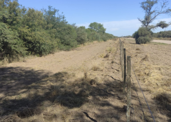 Recuerdan que, para evitar incendios, las picadas perimetrales son obligatorias para propietarios de campos