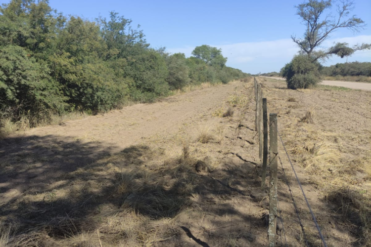 Recuerdan que, para evitar incendios, las picadas perimetrales son obligatorias para propietarios de campos
