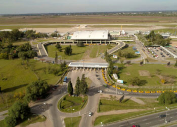 Lanzan un operativo de captura en el aeropuerto después de la presencia de un curioso animal