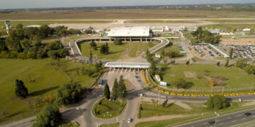 Lanzan un operativo de captura en el aeropuerto después de la presencia de un curioso animal