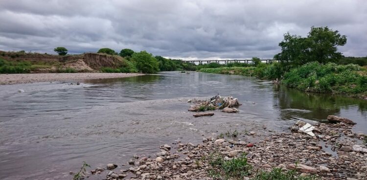 Investigadores cordobeses detectan contaminación riesgosa en el río Suquía y el Lago San Roque