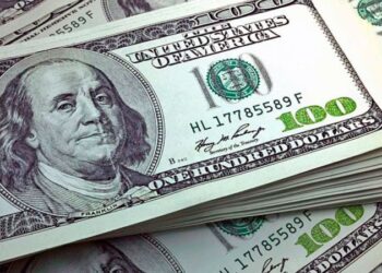 Pusieron en marcha nuevas medidas para cuidar los dólares