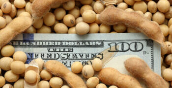 El FMI consideró que las medidas anunciadas son «positivas para las reservas y el orden fiscal»