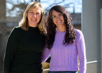 Vilches propuso reducir sueldos de los funcionarios municipales