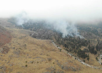 Alertan sobre riesgo extremo de incendios forestales por las condiciones meteorológicas