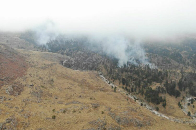 Alertan sobre riesgo extremo de incendios forestales por las condiciones meteorológicas