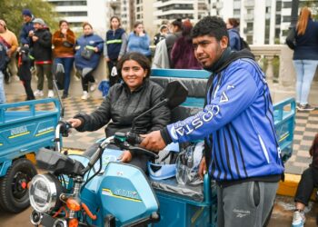 Apuntan a eliminar la tracción animal
