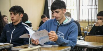 Pruebas Aprender: continúan las dificultades en Matemáticas