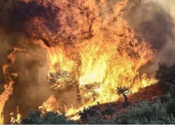 El incendio en Grecia arrasó una superficie más grande que Nueva York