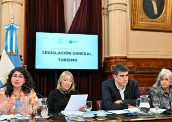 Avanza en el Senado el proyecto de regulación de los alquileres temporarios para el turismo