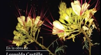 Presentación del Libro «Ecopoesía» de Aldo Parfeniuk