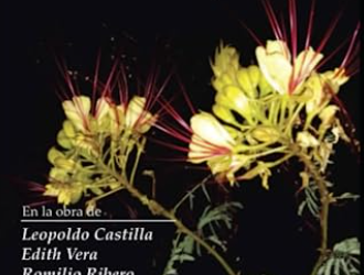 Presentación del Libro «Ecopoesía» de Aldo Parfeniuk