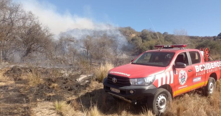 Bomberos combaten cinco incendios forestales