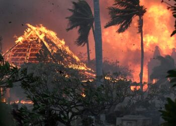 Un mínimo de 55 personas fallecieron a raíz de los incendios en islas de Hawái