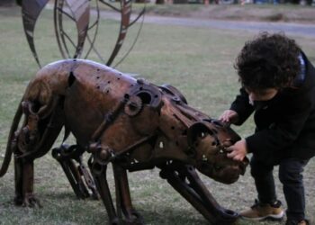 Exposiciones y actividades culturales en la ciudad