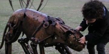 Exposiciones y actividades culturales en la ciudad