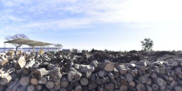 Residuos de poda son reciclados y reconvertidos en leña social, chips y compost