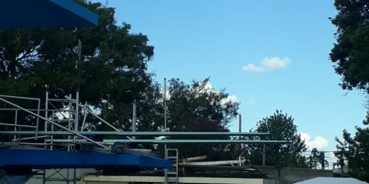 Tres clavadistas cordobeses fueron convocados a la Selección Argentina juvenil