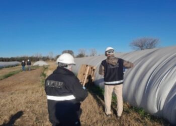 Detectaron un faltante de granos por $ 105 millones en Villa del Totoral