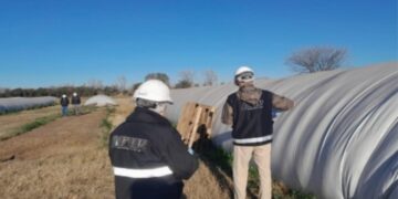 Detectaron un faltante de granos por $ 105 millones en Villa del Totoral