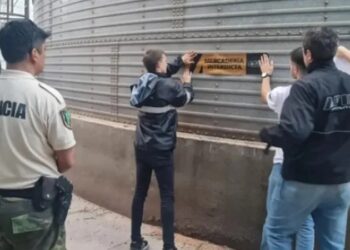 Incautaron 11.700 toneladas de granos por $ 900.000.000
