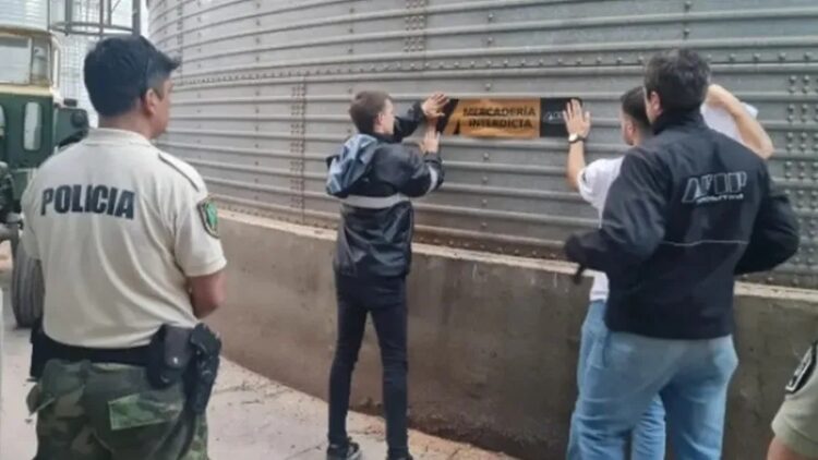 Incautaron 11.700 toneladas de granos por $ 900.000.000