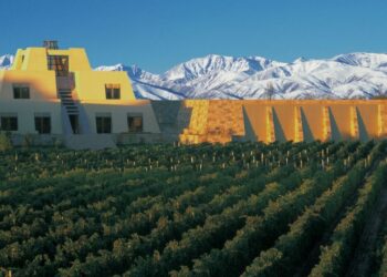 Un turista brasileño se cayó desde la terraza de una bodega y se encuentra grave estado