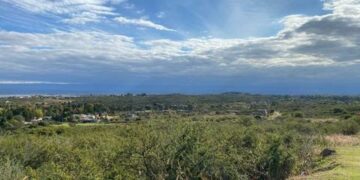 Una docena de detenidos por usurpación de terrenos y estafas