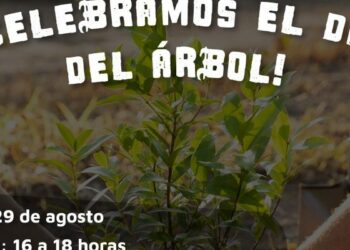 Canjearán plásticos por plantines y semillas