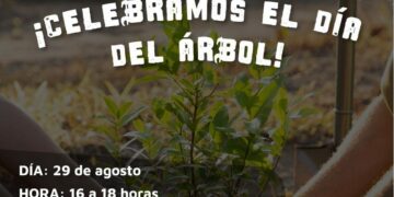 Canjearán plásticos por plantines y semillas