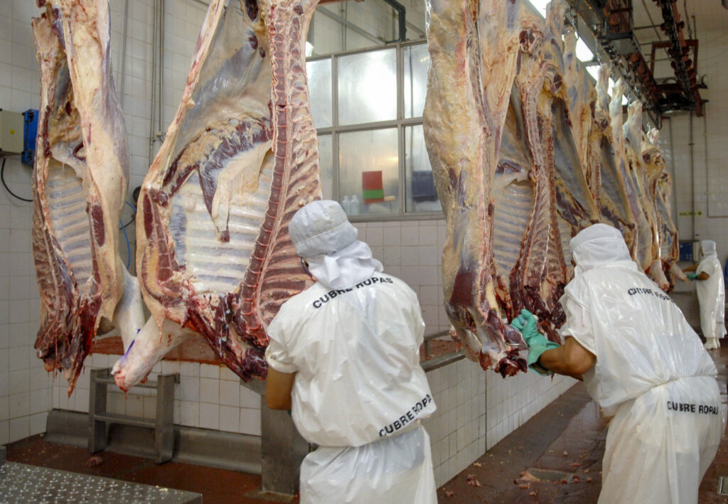 Las exportaciones de carne en febrero alcanzaron un nuevo récord histórico