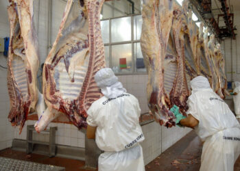 El Gobierno suspendió la exportación de carnes por 15 días