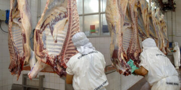 El Gobierno suspendió la exportación de carnes por 15 días