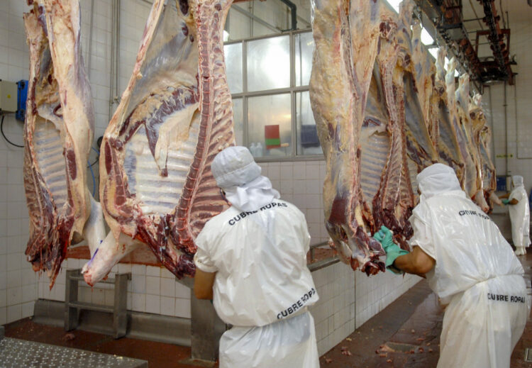 Las exportaciones de carne en febrero alcanzaron un nuevo récord histórico