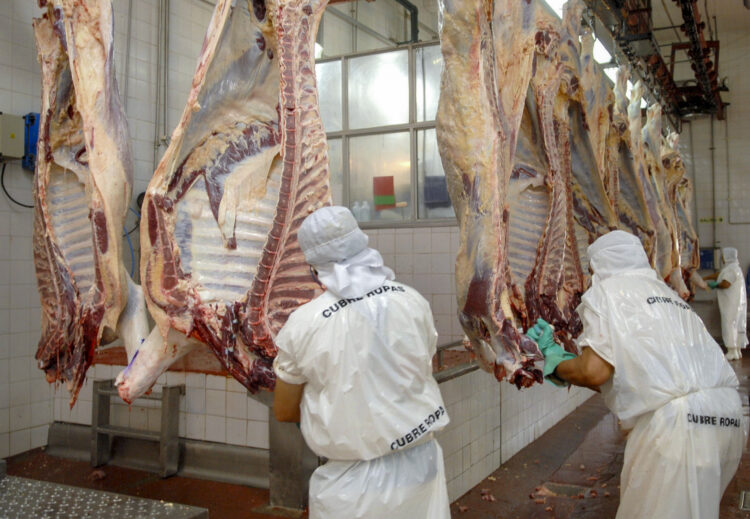El Gobierno suspendió la exportación de carnes por 15 días