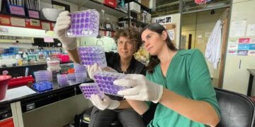 Rechazo unánime de la comunidad universitaria y científica a la privatización del Conicet