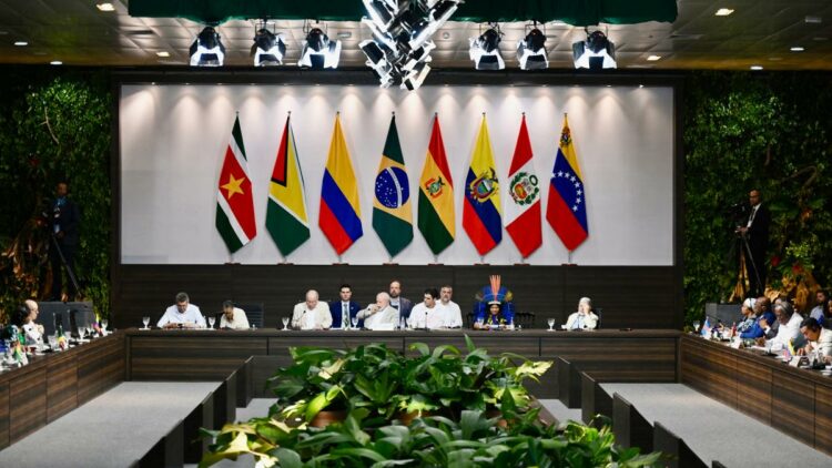 La Cumbre Amazónica pidió por más recursos financieros