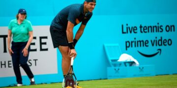Por su lesión, Del Potro resignó su vuelta al US Open