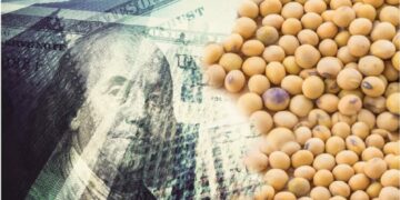 El gobierno flexibilizó la compra de divisas para la importación de soja