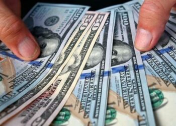 Tras las últimas medidas económicas, aumentó un 65% la compra de dólar MEP