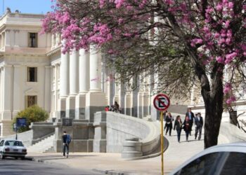 Un padre deberá compensar a su hijo no biológico por violar su derecho a la identidad