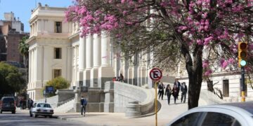 Un padre deberá compensar a su hijo no biológico por violar su derecho a la identidad